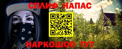 jwh Будённовск