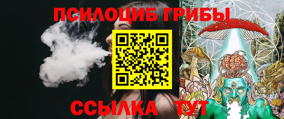 Псилоцибиновые грибы Magic Shrooms  где купить наркоту  Нижний Новгород  Вход с VPN 